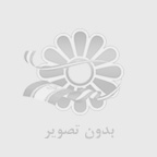 ناتواني در حذف نسخه هاي قبلي وبلاگ در ROYA BLOG